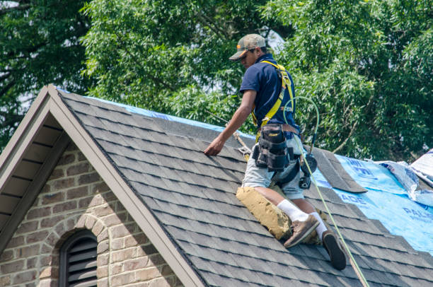Best Roof Maintenance Services  in Brecksville, OH